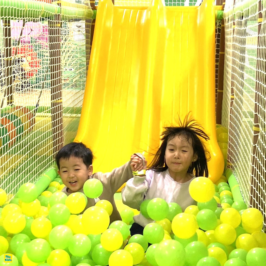 巨大ジャングルジム | ザキッズ(The Kids)｜めっちゃ楽しい子供の室内 